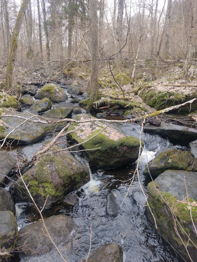 Hadängs lövskog