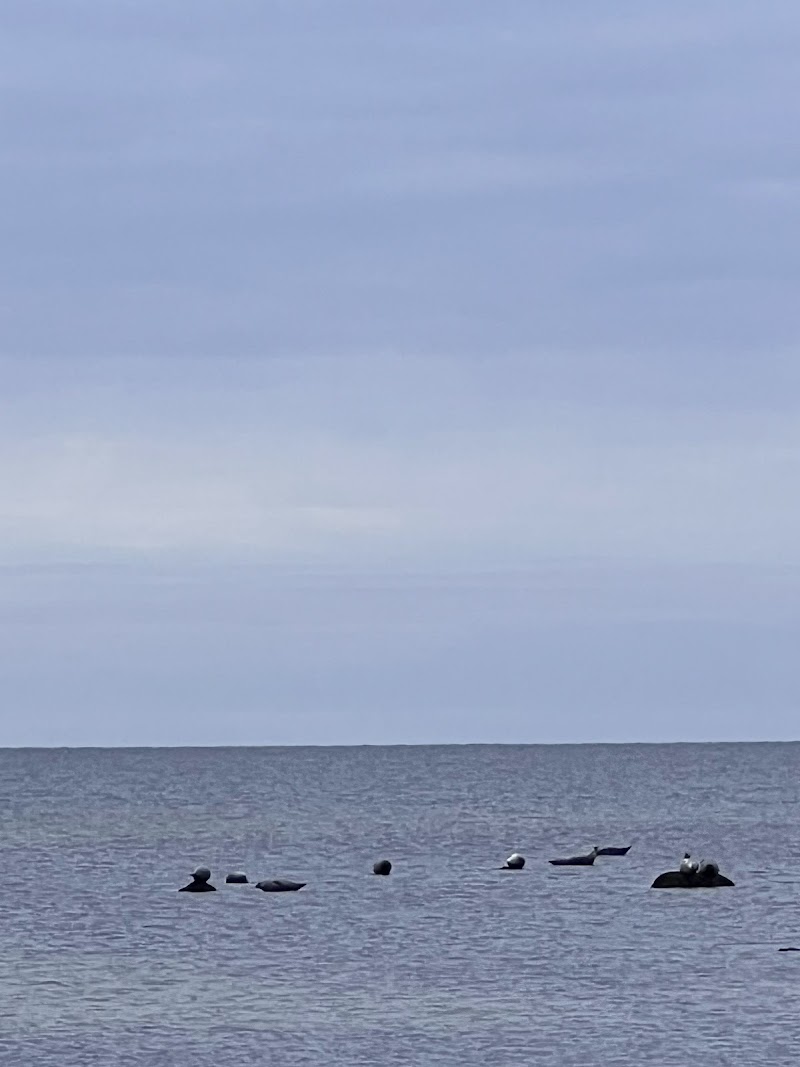 Södra Bjärekusten, parkering Gryteskär