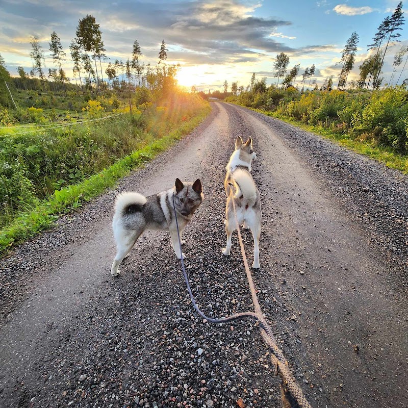 Källhagens Gård & Hundpensionat
