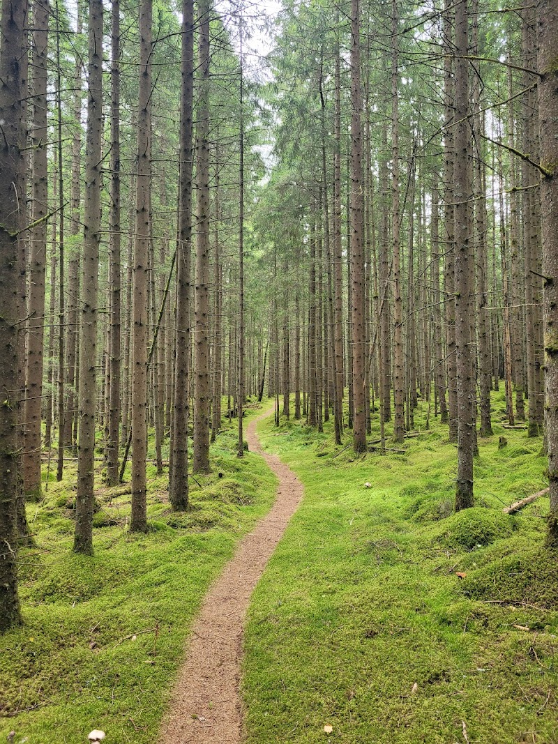 Skälhult