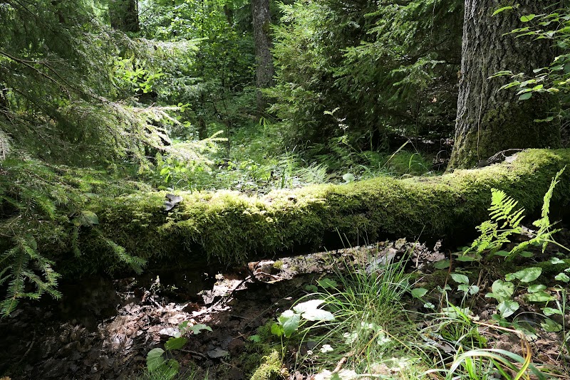 Lida naturreservat
