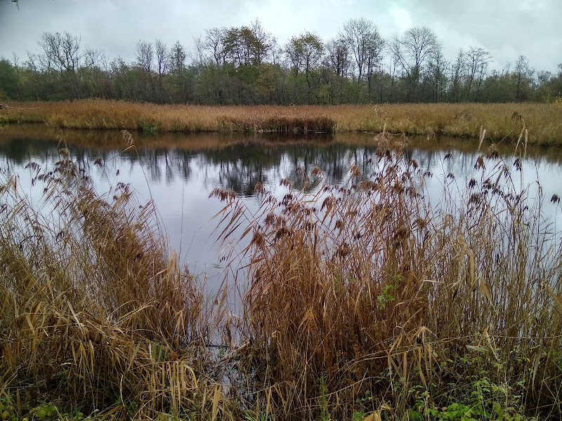 Slättängsdammarna