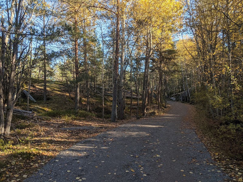 The Sätra Forest Nature Preserve