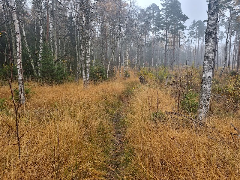 Åstarpe mosse