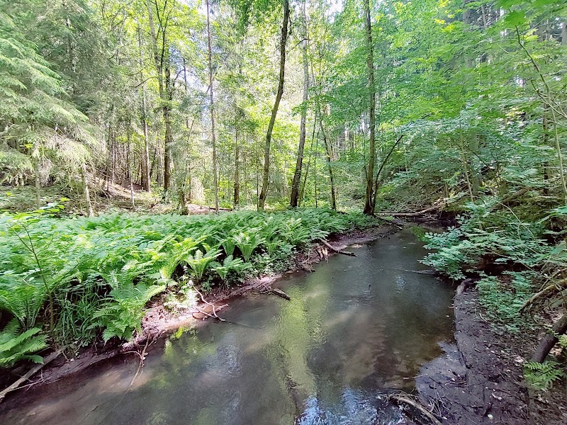 Naturreservat Mariedalsån