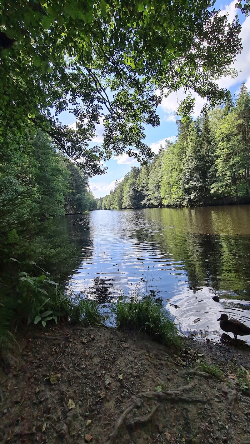 Stora dammen