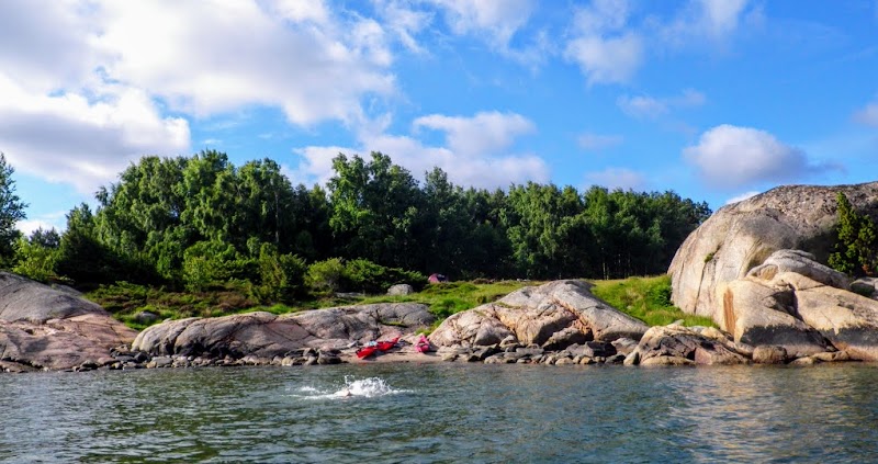 Kungsbackafjordens naturreservat
