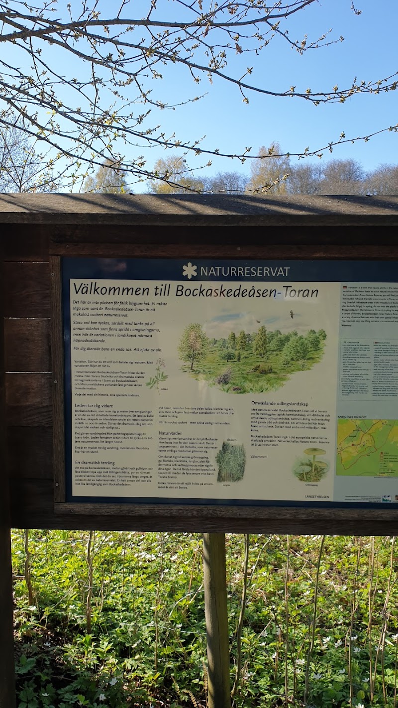 Bockaskedeåsen-Toran