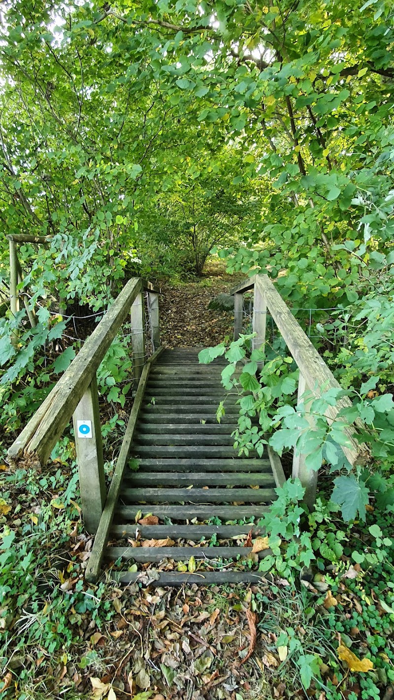 Ullarps naturreservat