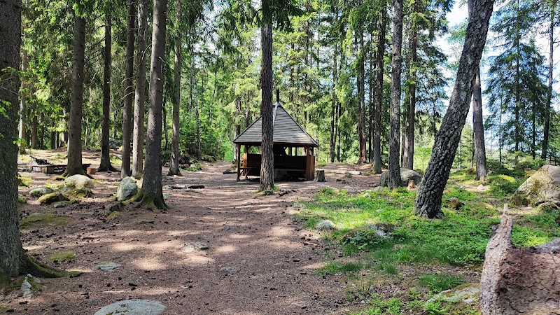 Vinterskogens naturreservat