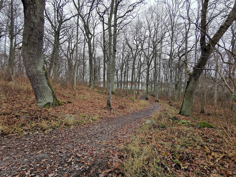Fågelsången Natural area