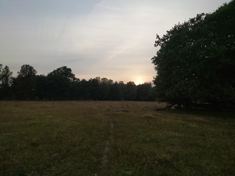 Veberöds ljung