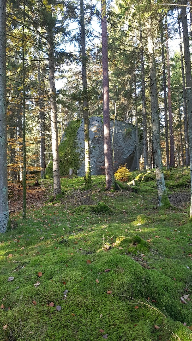 Fridlevstadsskogen