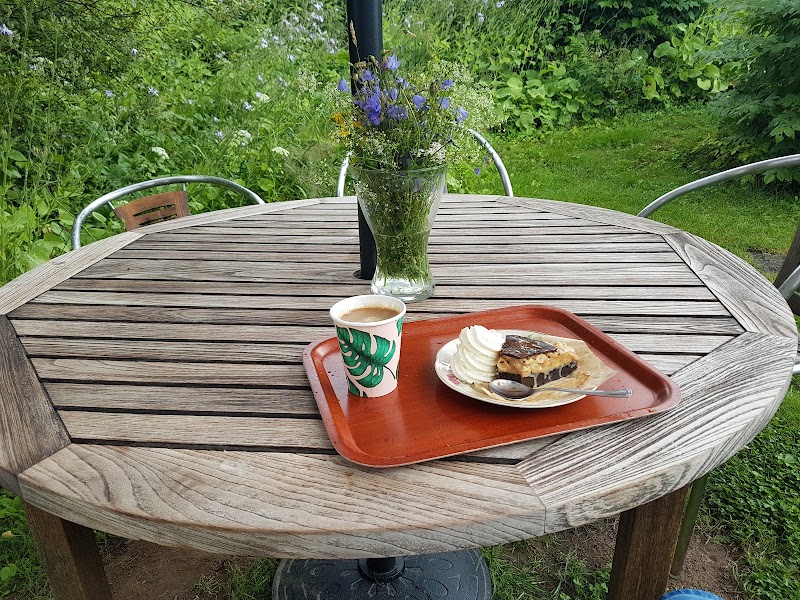 Hjort-Olârs kafé