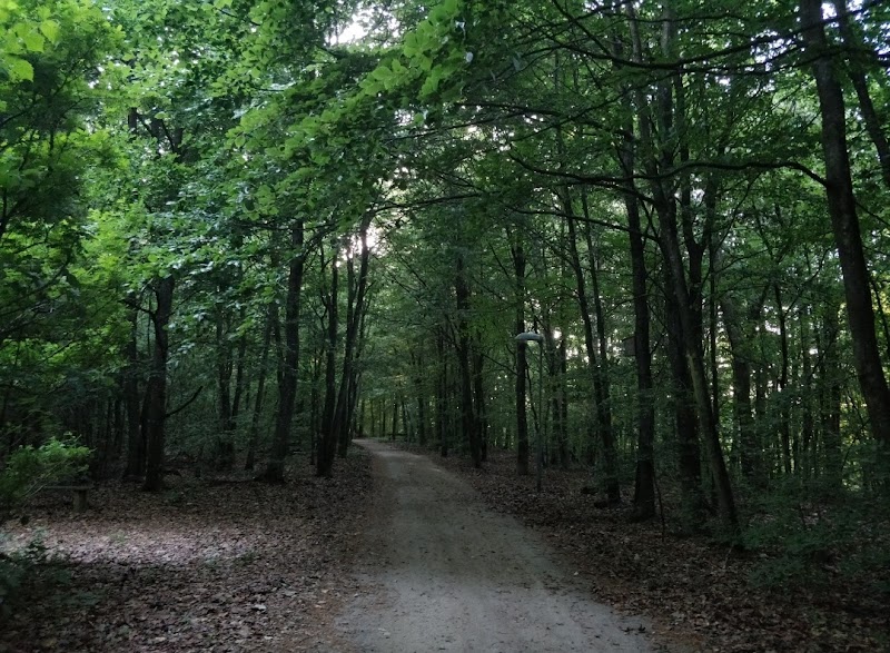 Skogsbacken med Väladalen