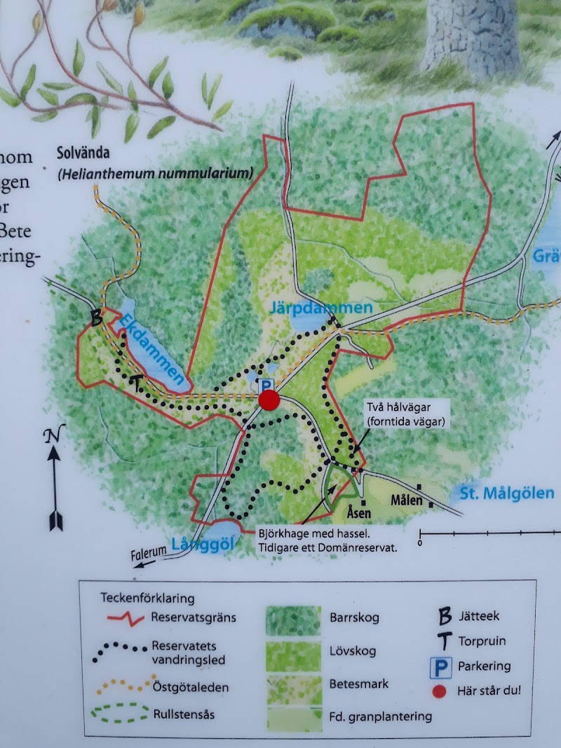 Åsen