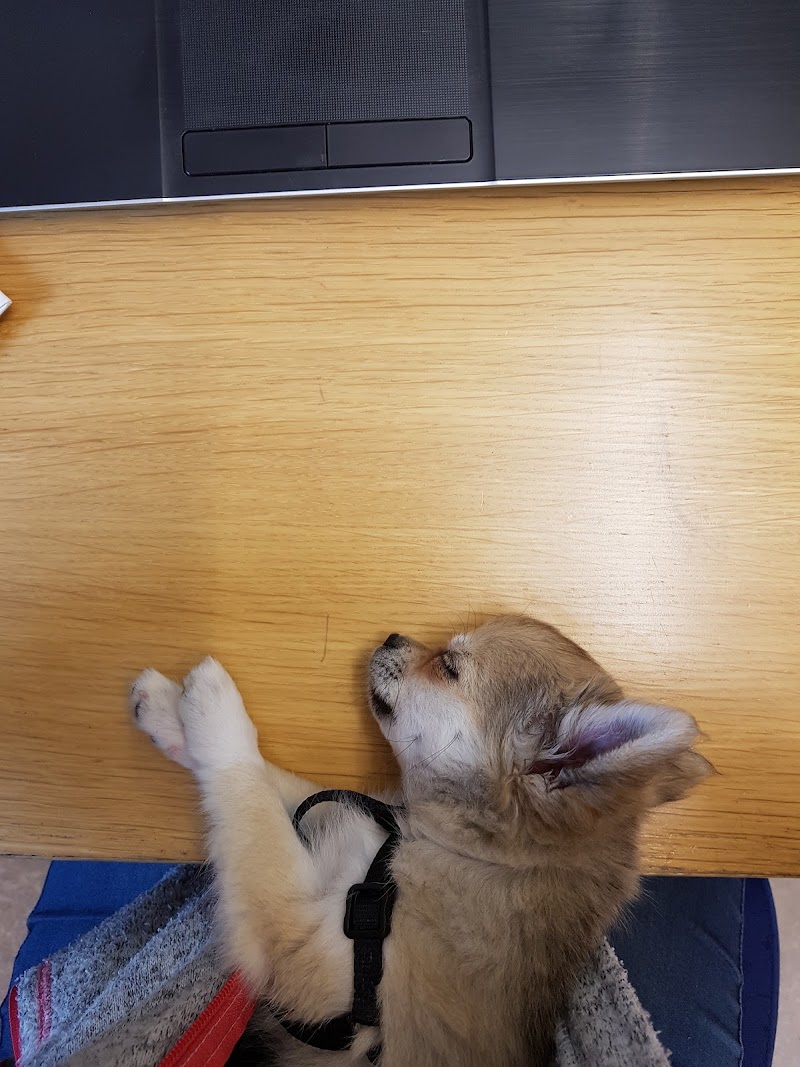 Hundshopen Forshaga AB
