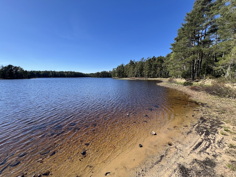 Lidhultsåsen