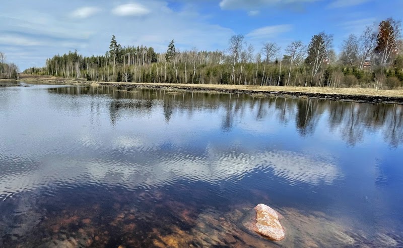 Våtmarken i Knappshem
