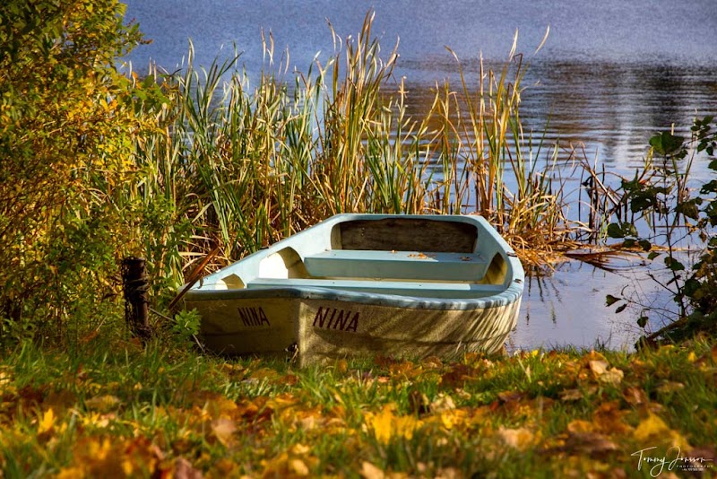 Viken