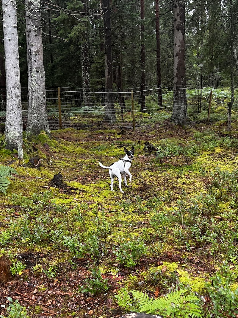 Sorunda Hundgård
