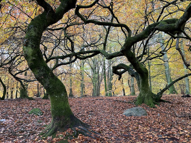 Prästaskogens naturreservat, parkeringen