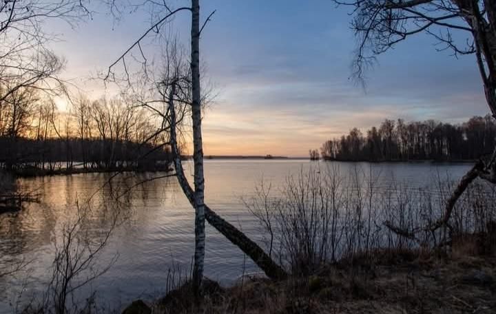 Kuggenäs