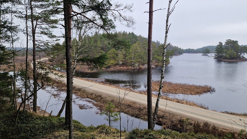 Stendammen Svartedalen