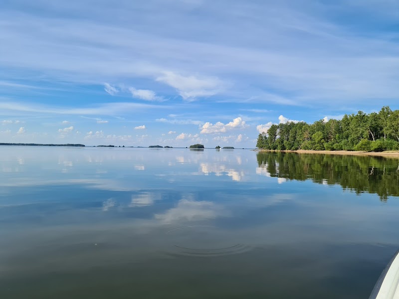 Fåran