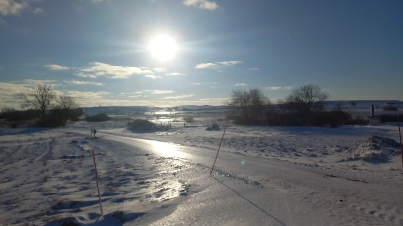 Ingelstorps mosse naturvårdsområde