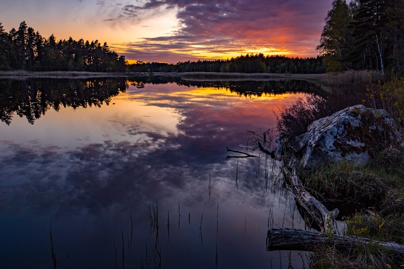 Borgehalls naturreservat
