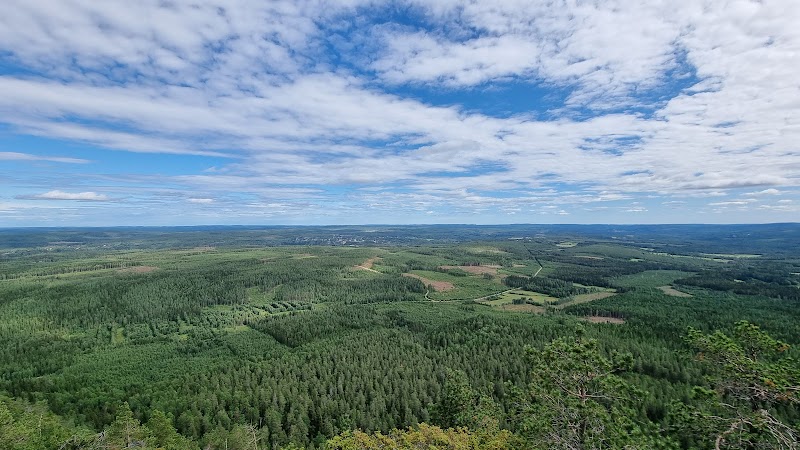 Balbergets naturreservat