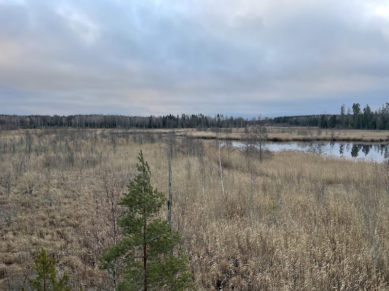 Kalkugnsbergets naturreservat