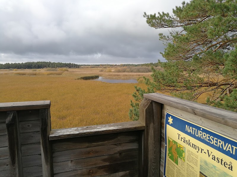 Träskmyr och Vasteån