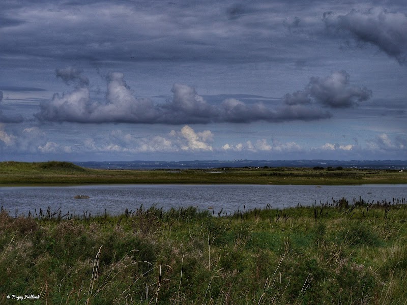 Naturreservatet Rönnen