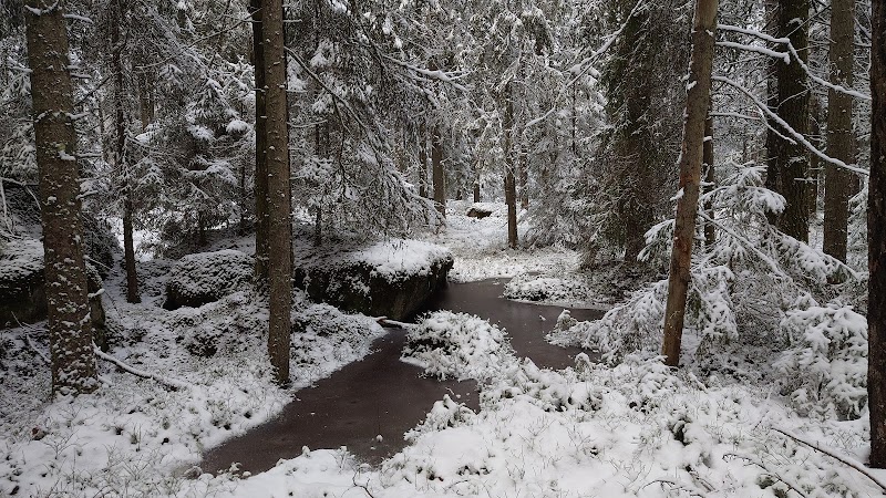 Tränviksmossens naturreservat