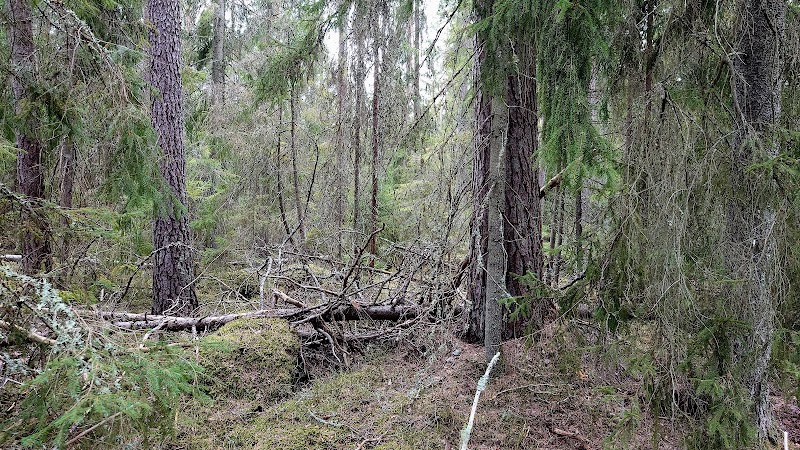 Skallerborns naturreservat