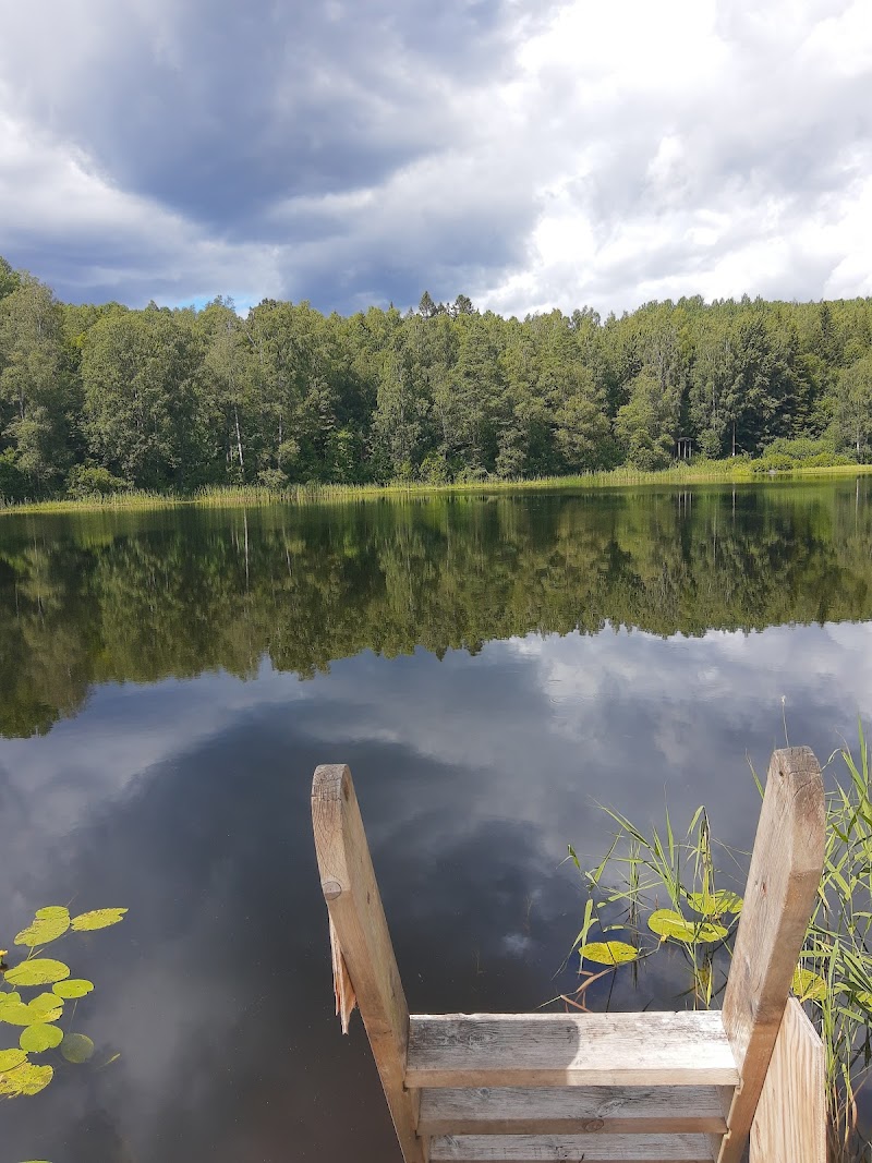 Mörttjärns naturreservat