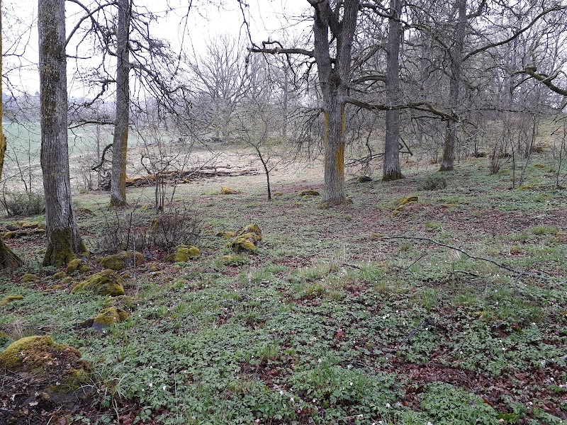 Herrsätters naturreservat