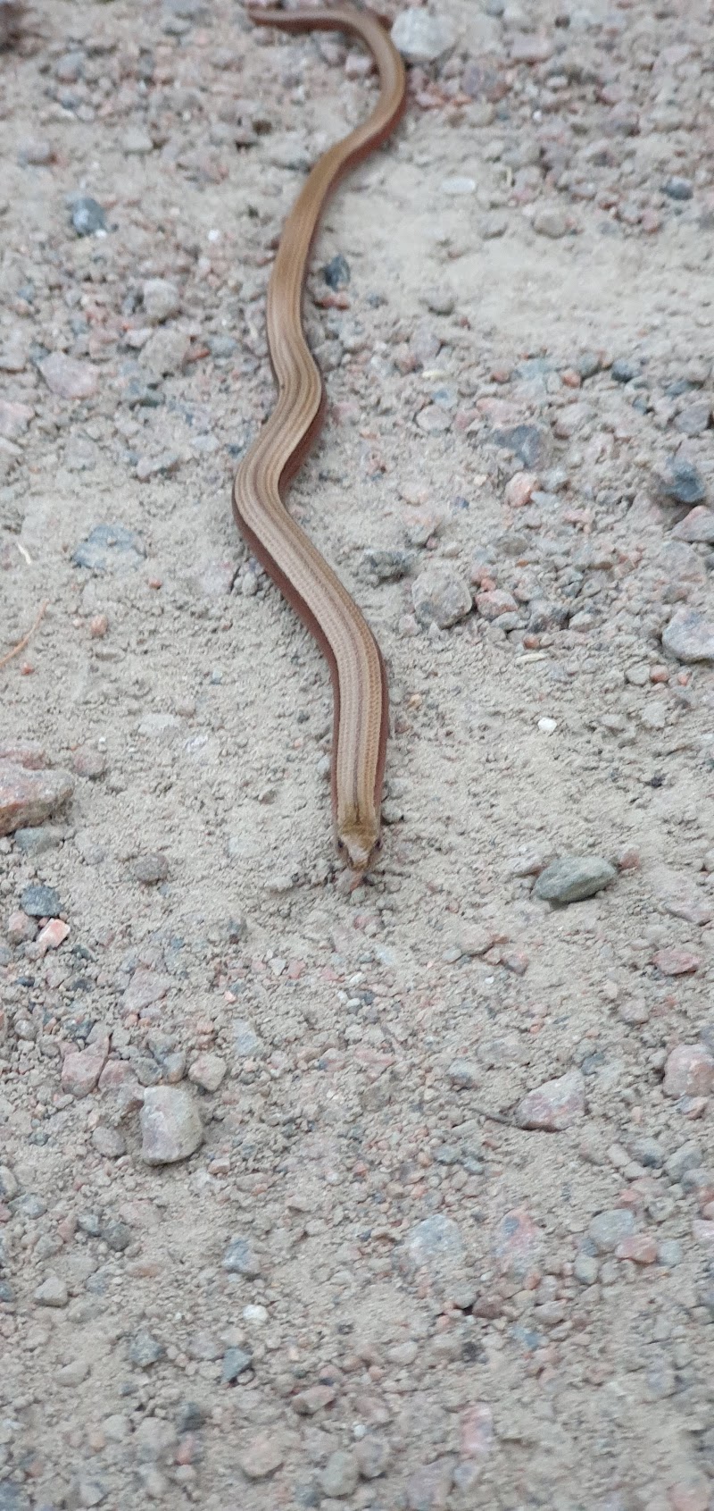Söderåsen Åstorp
