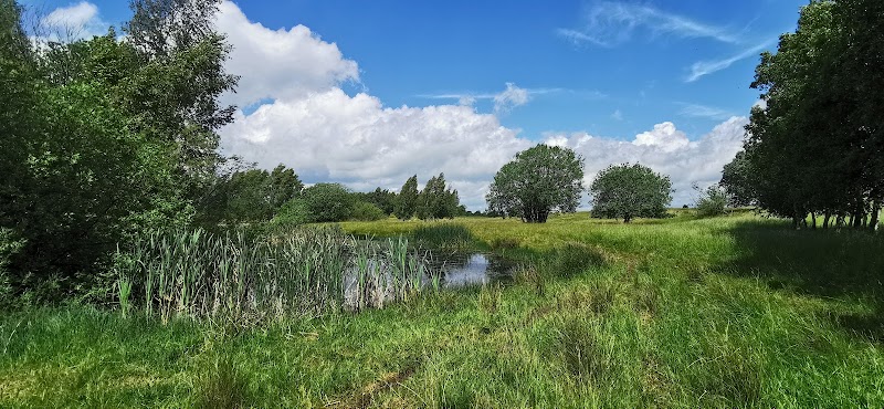 Högaborg
