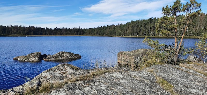 Stora Bjursjöns naturreservat