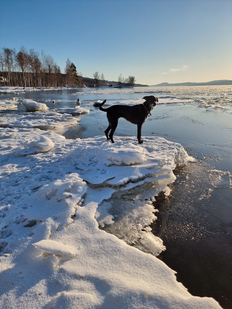 Strandpromenaden
