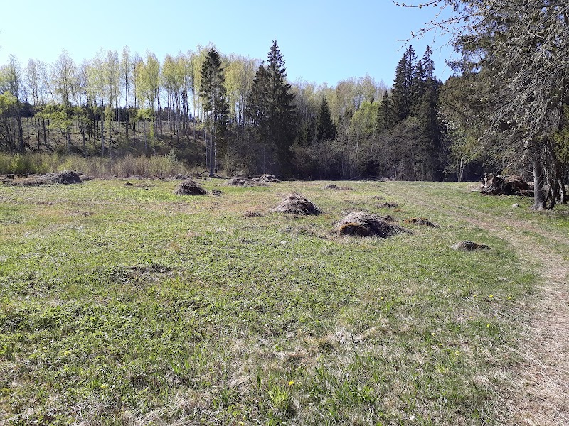 Hålmossens naturreservat
