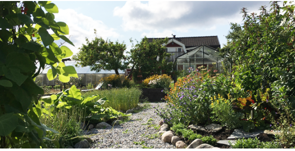 Åbacka trädgård
