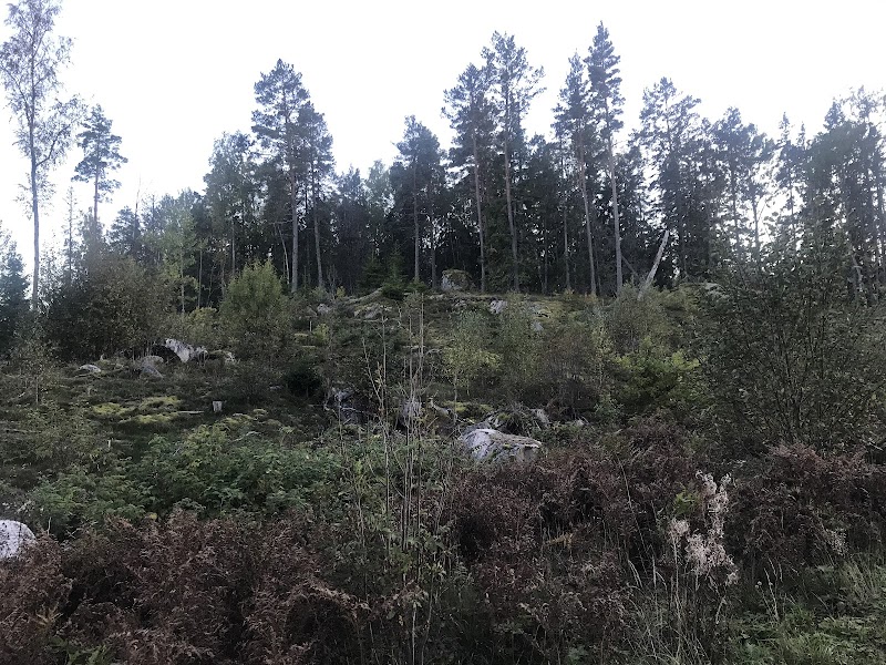 Bränntorpets naturreservat