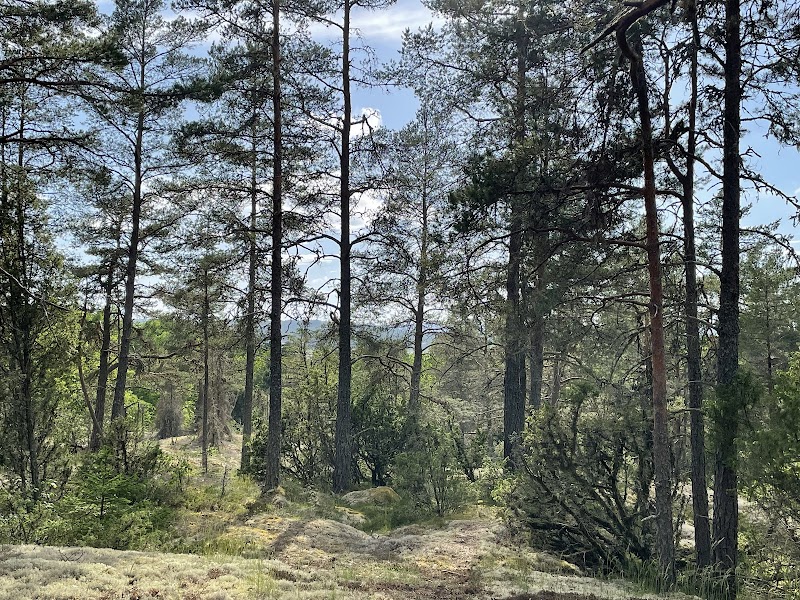 Säbybergen