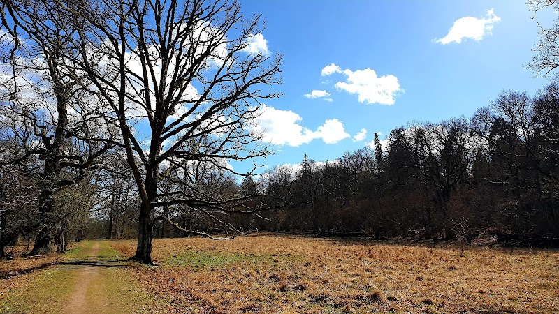 Sturefors naturreservat