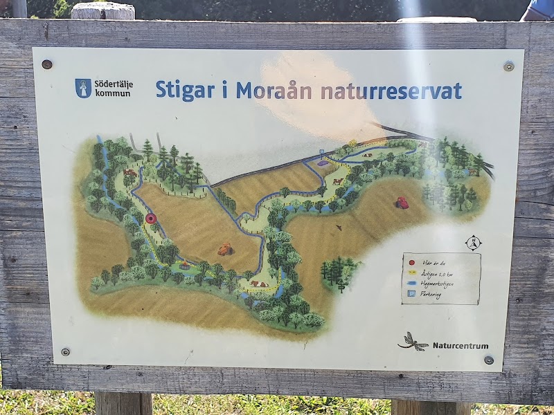 Moraåns dalgång