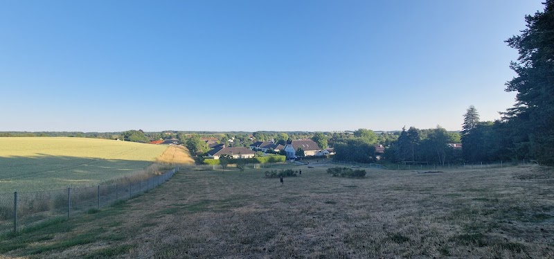 Hundrastplats